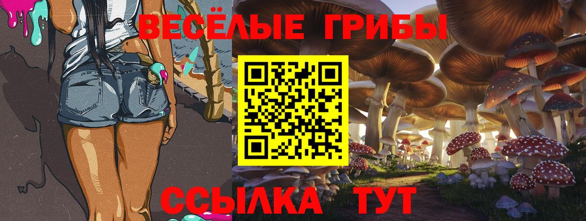 Воркута  Галлюциногенные грибы MAGIC MUSHROOMS  Вход с VPN 