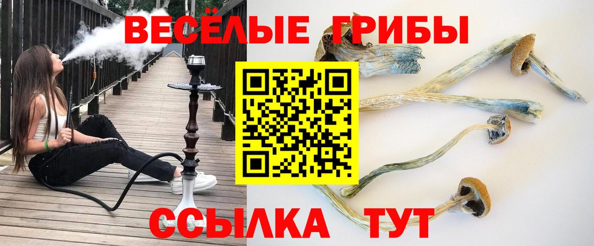 Псилоцибиновые грибы MAGIC MUSHROOMS Воркута